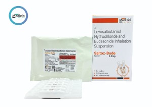 SALTOZ-BUDE